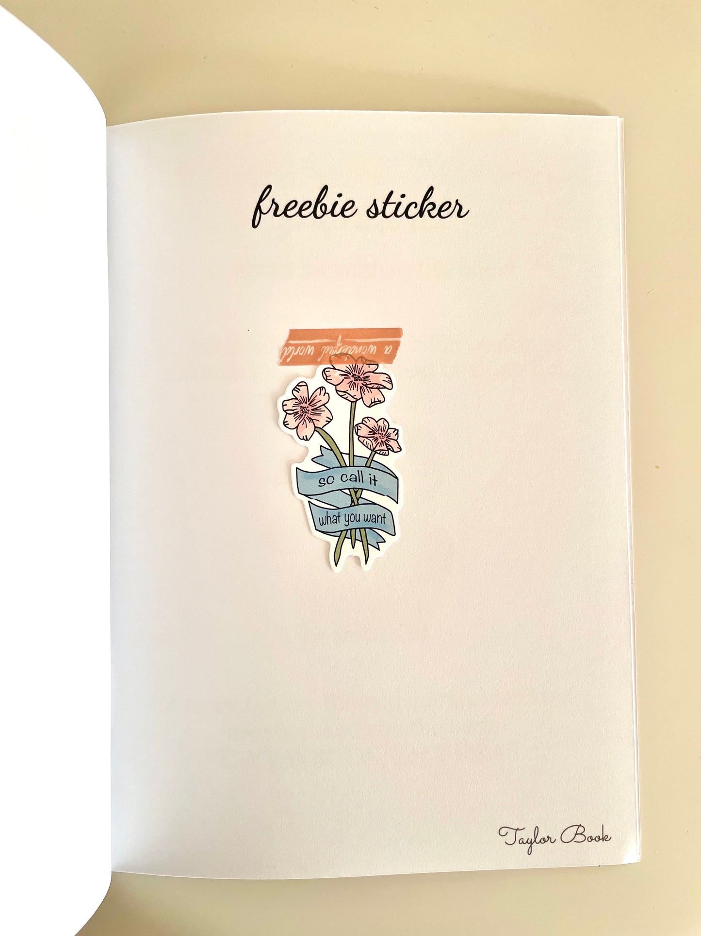 Tay Tay Activity Book/PREORDER